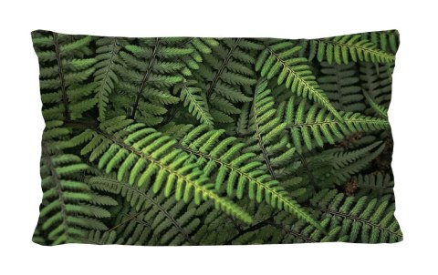 Poduszka - FERNS - 30x50 cm