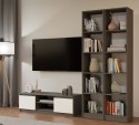 NOWOCZESNA SZAFKA RTV MALWA 120CM ANTRACYT / BIAŁY MAT NOWOCZESNA SZAFKA RTV MALWA 120CM ANTRACYT / BIAŁY MAT