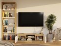 NOWOCZESNA SZAFKA RTV MALWA 120CM DĄB ARTISAN / BIAŁY MAT NOWOCZESNA SZAFKA RTV MALWA 120CM DĄB ARTISAN / BIAŁY MAT
