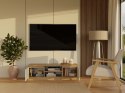 NOWOCZESNA SZAFKA RTV MALWA 120CM KASZMIR / DĄB ARTISAN NOWOCZESNA SZAFKA RTV MALWA 120CM KASZMIR / DĄB ARTISAN