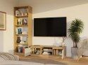 NOWOCZESNA SZAFKA RTV MALWA 120CM KASZMIR / DĄB ARTISAN NOWOCZESNA SZAFKA RTV MALWA 120CM KASZMIR / DĄB ARTISAN