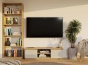 NOWOCZESNA SZAFKA RTV MALWA 120CM KASZMIR / DĄB ARTISAN NOWOCZESNA SZAFKA RTV MALWA 120CM KASZMIR / DĄB ARTISAN