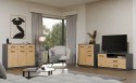 SZAFKA RTV STOLIK TV SIMPLO 2 SZUFLADY DRZWI PÓŁKA ANTRACYT / DĄB ARTISAN SZAFKA RTV STOLIK TV SIMPLO 2 SZUFLADY DRZWI PÓŁKA ANTRACYT / DĄB ARTISAN