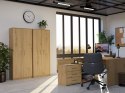 REGAŁ ZAMYKANY OLIV 8 PÓŁEK DO SALONU BIURA POKOJU DĄB ARTISAN